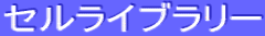 �A�}�]���T�C�g